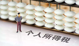 如何在網(wǎng)上打印個(gè)人所得稅納稅記錄？