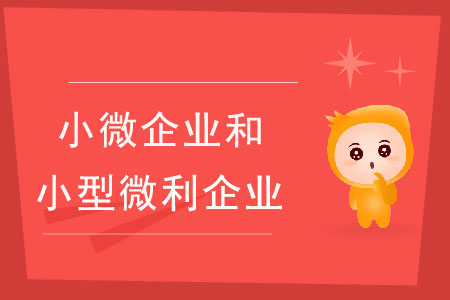 小微企業(yè)和小型微利企業(yè)有什么區(qū)別？