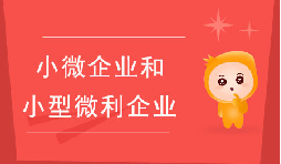 小微企業(yè)和小型微利企業(yè)有什么區(qū)別？